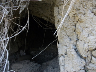 Grotta Sieli
